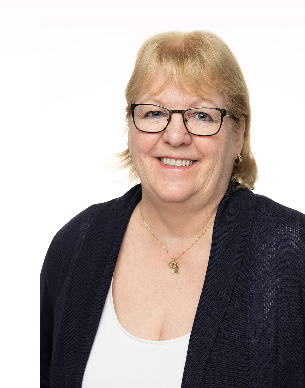 Dion CPA bureau comptable Laurentides